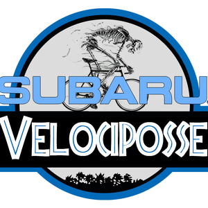Team Page: Subaru Velociposse